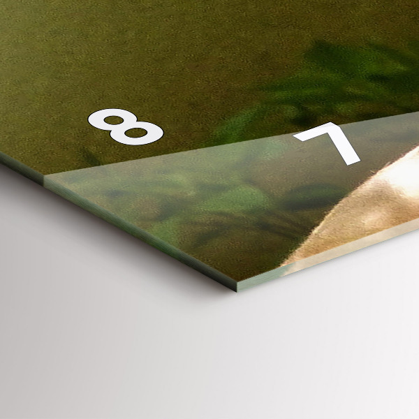 Horizontal wall clock Portrait of a Lion