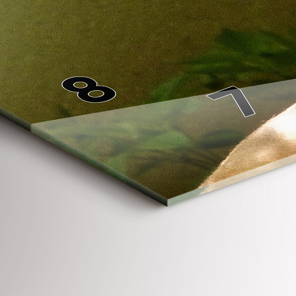 Horizontal wall clock Portrait of a Lion