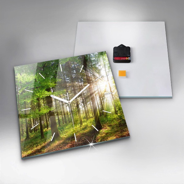 Square wall clock Forest sunrise
