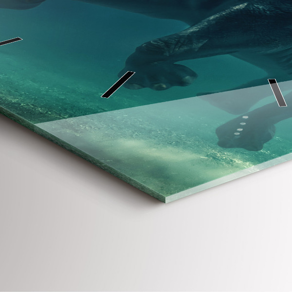 Square wall clock Swimming elephant in the ocean