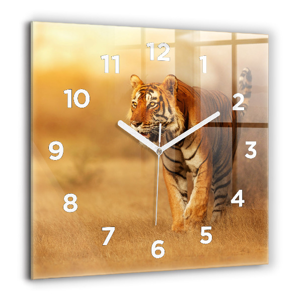 Square wall clock Hunting Tiger