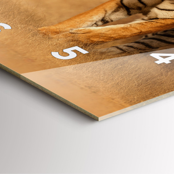 Square wall clock Hunting Tiger