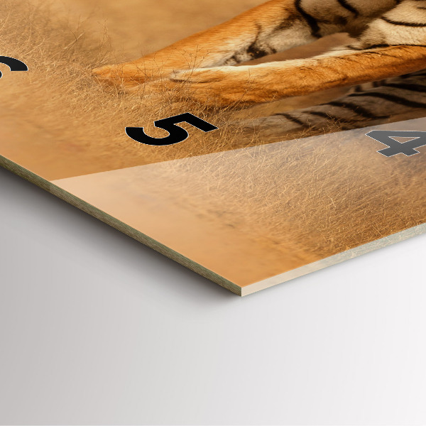 Square wall clock Hunting Tiger