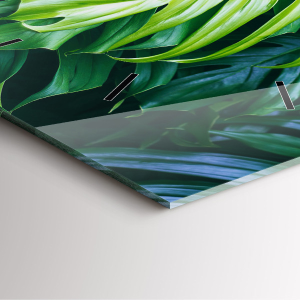 Square wall clock The Tropical Side of Nature