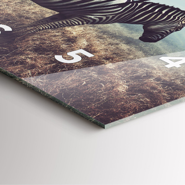 Square wall clock Zebra – Abstraction