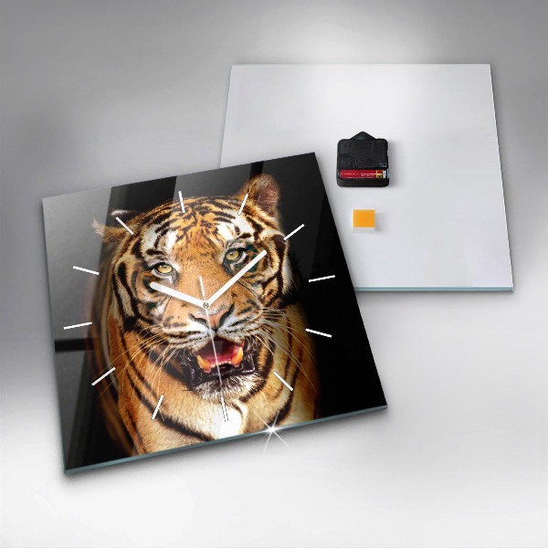Square wall clock Tiger - wild look