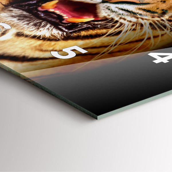 Square wall clock Tiger - wild look