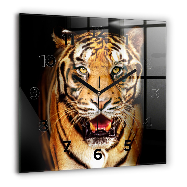 Square wall clock Tiger - wild look