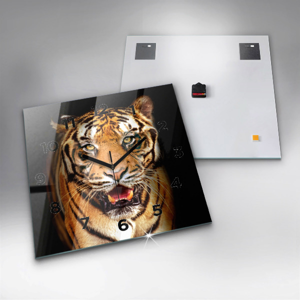 Square wall clock Tiger - wild look