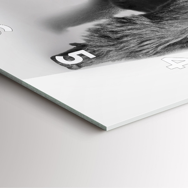 Square wall clock Animal Art Collection