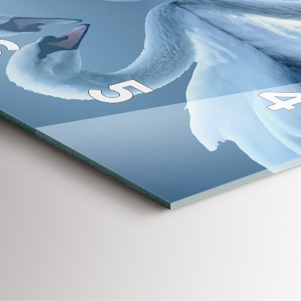 Square wall clock Swans in the heart