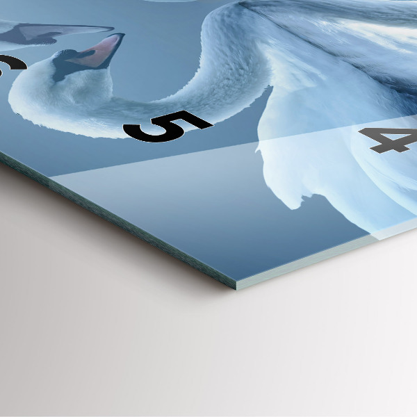 Square wall clock Swans in the heart