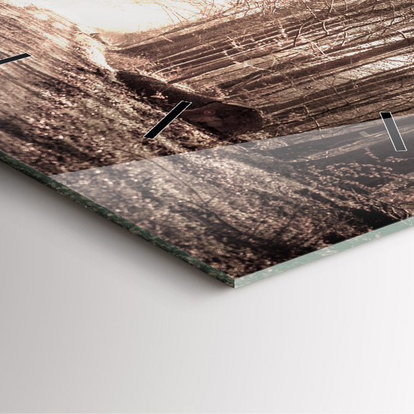 Square wall clock Forest path in sepia