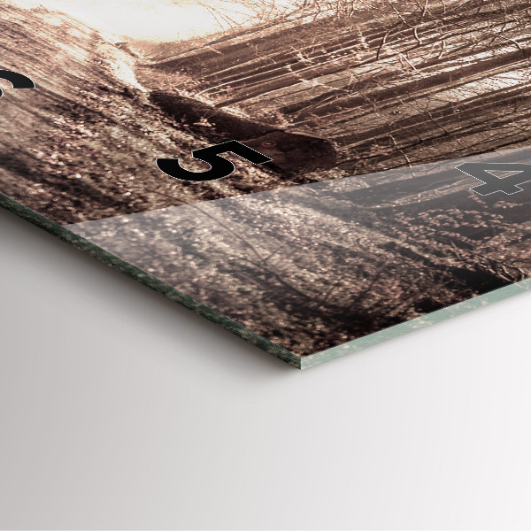 Square wall clock Forest path in sepia