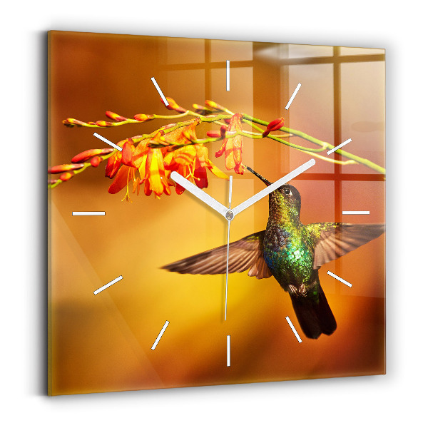 Square wall clock Hummingbird bird
