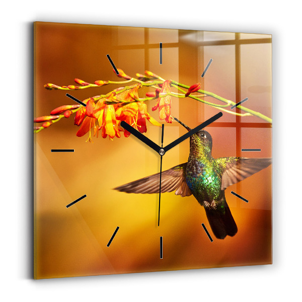 Square wall clock Hummingbird bird