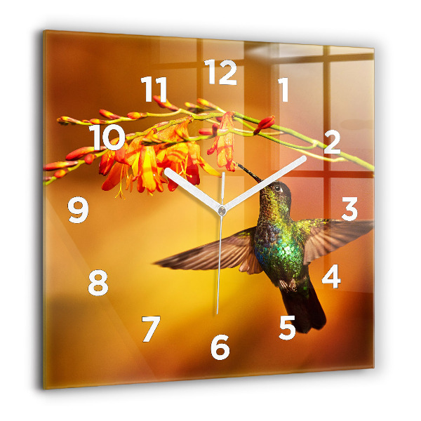 Square wall clock Hummingbird bird