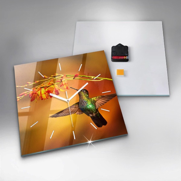 Square wall clock Hummingbird bird