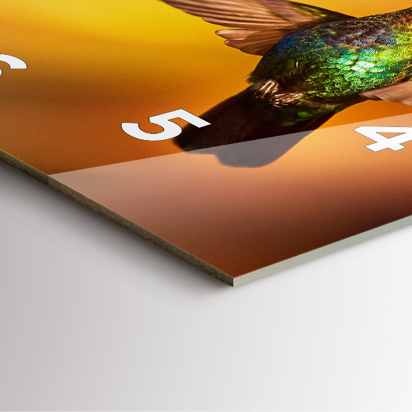 Square wall clock Hummingbird bird