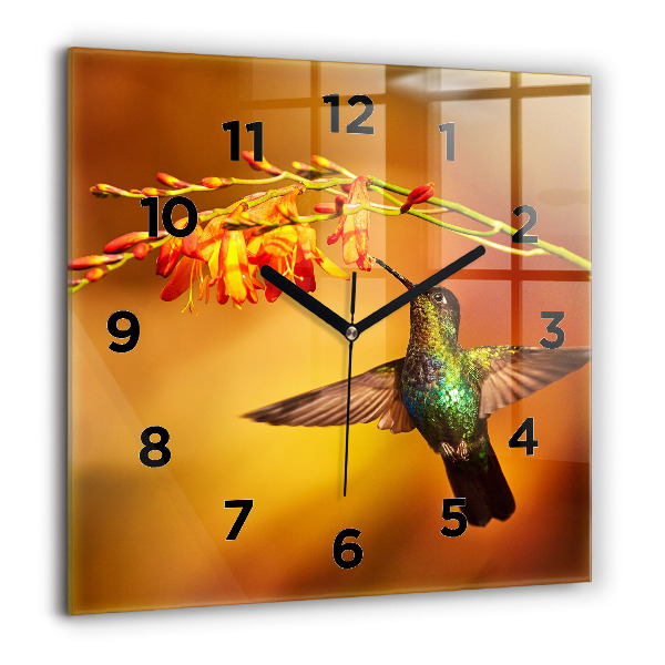 Square wall clock Hummingbird bird