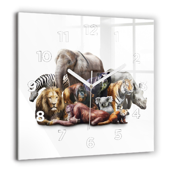 Square wall clock Wild animals