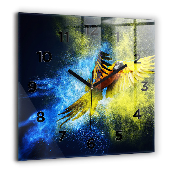 Square wall clock Colorful parrot