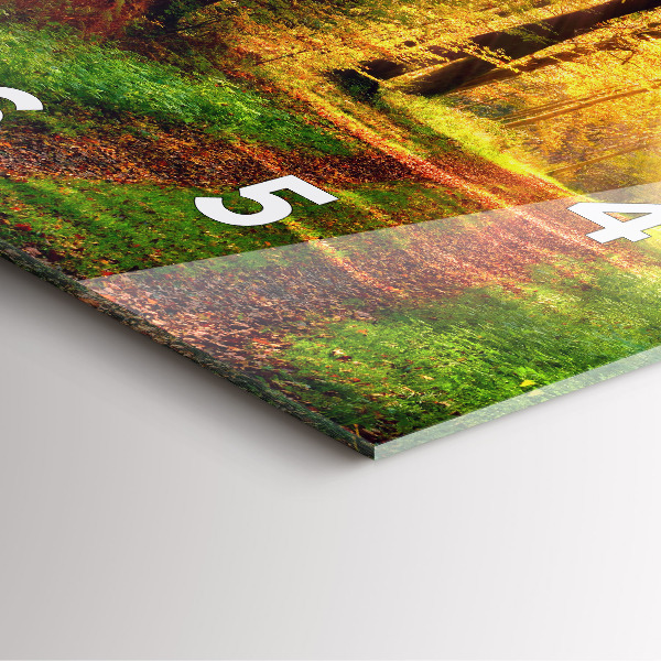 Square wall clock Autumn forest scenery