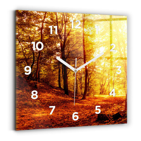 Square wall clock Forest landscape in the sun