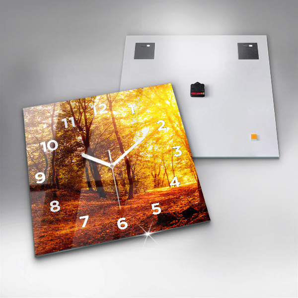 Square wall clock Forest landscape in the sun