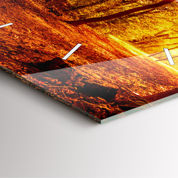 Square wall clock Forest landscape in the sun