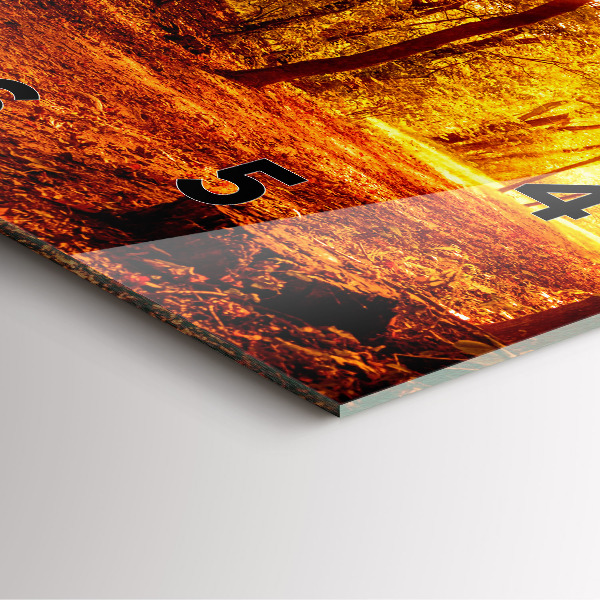 Square wall clock Forest landscape in the sun