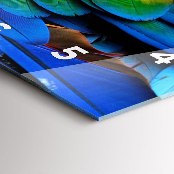 Square wall clock Colorful bird wings