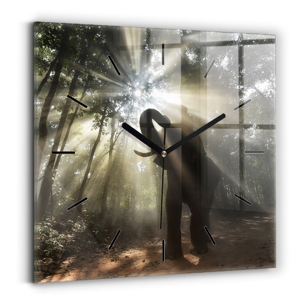 Square wall clock Elephant in the jungle