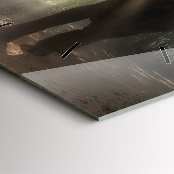 Square wall clock Elephant in the jungle