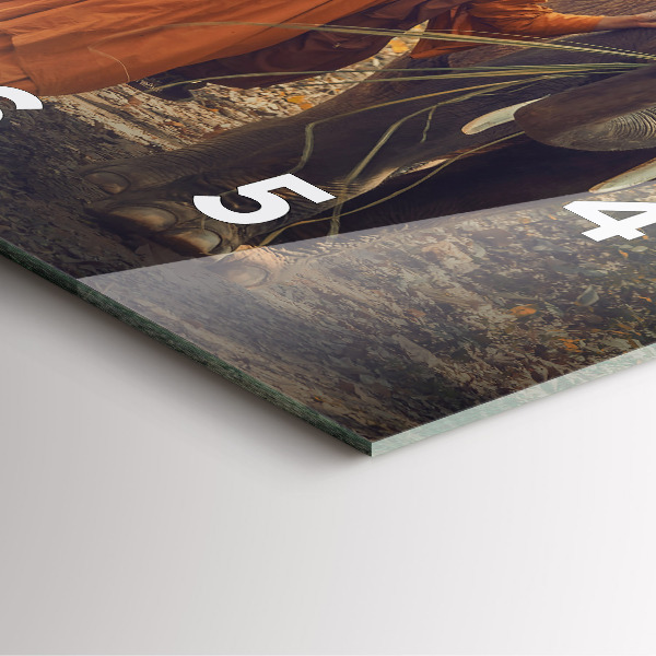 Square wall clock Monk leading elephants