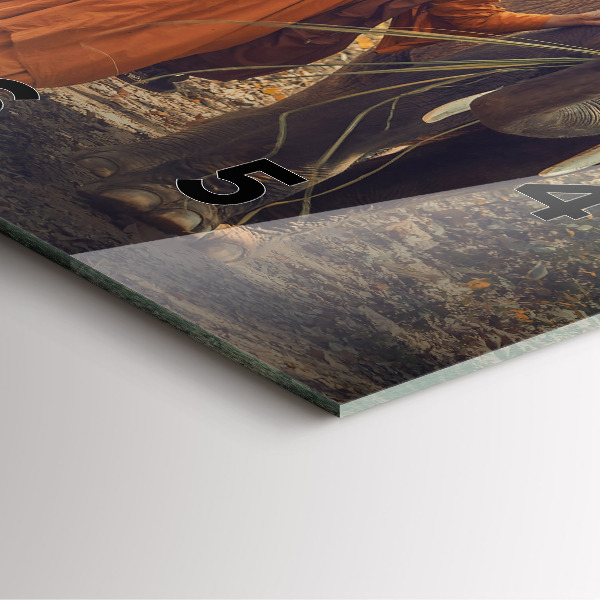 Square wall clock Monk leading elephants