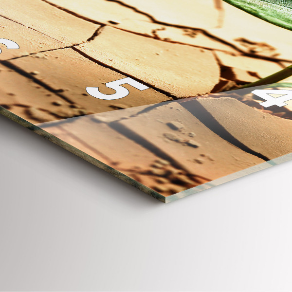 Square wall clock Plant in dry soil