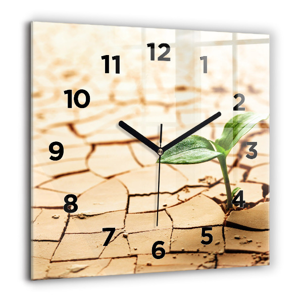 Square wall clock Plant in dry soil