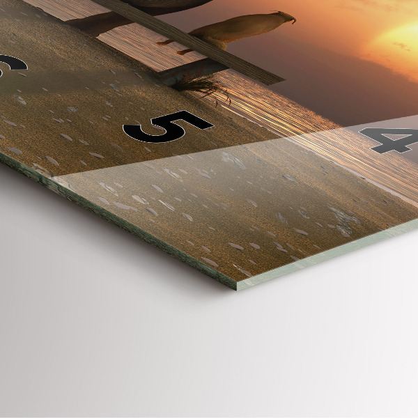 Square wall clock Animals and sunset
