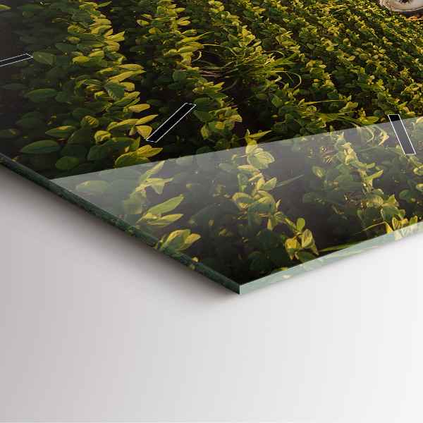Square wall clock Tractor in a farm field