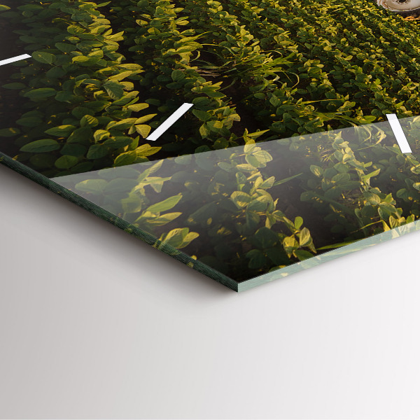 Square wall clock Tractor in a farm field