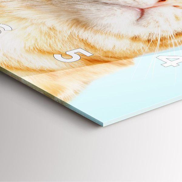 Square wall clock Funny cat with glasses