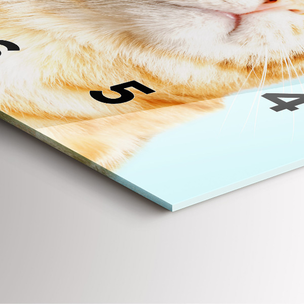 Square wall clock Funny cat with glasses