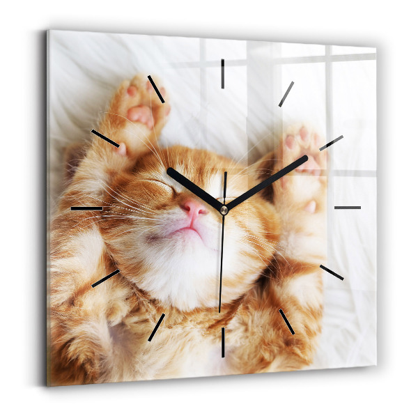 Square wall clock Sleeping little kitten