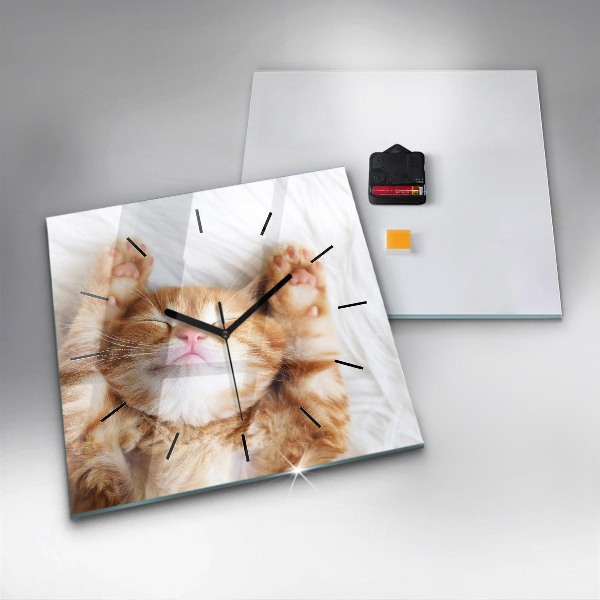Square wall clock Sleeping little kitten