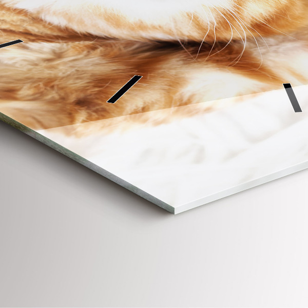 Square wall clock Sleeping little kitten