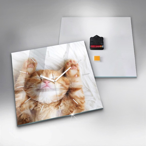 Square wall clock Sleeping little kitten