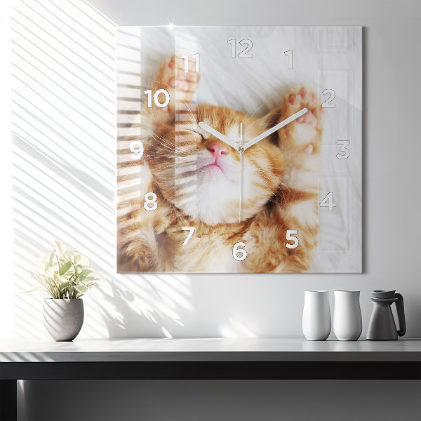 Square wall clock Sleeping little kitten