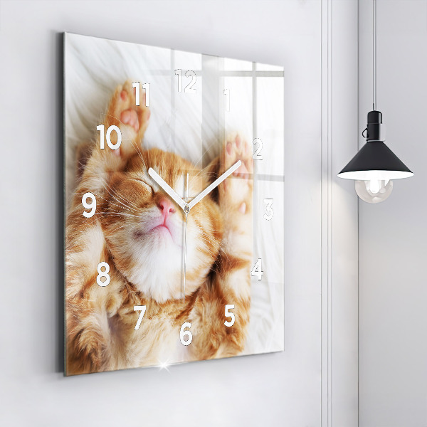 Square wall clock Sleeping little kitten
