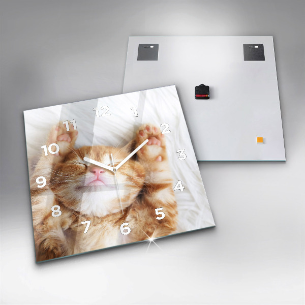 Square wall clock Sleeping little kitten